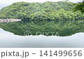 布引貯水池の水鏡 新緑を映す静寂の水面 神戸 141499656