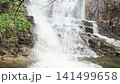 五本松堰堤の放流 布引貯水池のダム 神戸 141499658