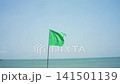 Green safety flag on sandy beach with blue sea and clear sky, safe swimming and coastal tourism 141501139