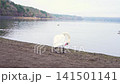 White swan standing by lakeside shore, wildlife nature and tranquil water landscape concept 141501141