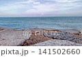 Tropical beach stone table 141502660
