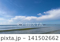 Soft waves on sandy shoreline beach 141502662