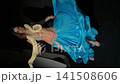 Exotic Belly Dancer with Snake in Studio 141508606
