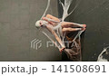 Artistic Mummy Trapped in Spiderwebs 141508691
