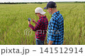 Farmers inspect crops using smartphone technology. Father and son analyze agricultural data in lush green field. Modern farming practices enhance productivity and sustainability. 141512914