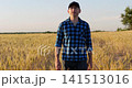 Agronomist walks through mature wheat field inspecting crop conditions before harvest. Professional fieldwork focuses on grain quality, healthy crops and sustainable agriculture. 141513016