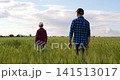 Farmers father and son walking through lush wheat field, enjoying nature together. Family bonding moment emphasizes agriculture's importance in rural life. Bright sky enhances peaceful atmosphere. 141513017