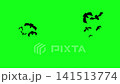 Flying Bat Silhouettes on Green Screen Chroma Key Halloween Animation in 4K 141513774