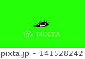 Halloween Animated black silhouette of a smiling pumpkin on a chroma key green screen background 141528242
