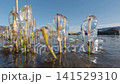 冬季諏訪湖的冰雪景觀 141529310