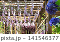 川場村「青龍山　吉祥寺」の風鈴 141546377