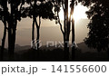 Bright glowing sun shining through silhouetted tree trunks against mountain horizon during golden hour. Dramatic sunset nature atmosphere. 141556600