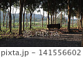 Empty wooden bench under shadows of trees looking out to green mountains. Peaceful campsite relaxation atmosphere. 141556602