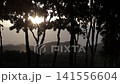 Sun flare bursting through silhouetted tree branches against mountain landscape during sunset. Cinematic twilight campsite atmosphere. 141556604