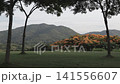 Scenic green lawn campsite framed by trees with flame tree orange flowers and mountain background. Peaceful outdoor camping site landscape. 141556607