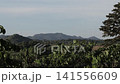 Timelapse of scenic green mountain range and tropical forest under clear blue sky. Bright daytime nature landscape. 141556609