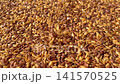 Raw flax seeds falling down macro 141570525