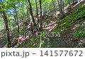 Summer scenery along the Kamosawa route from the Kosode trailhead in Yamanashi Prefecture to Mt. Kumotori, the highest peak in Tokyo: blue skies, spring water, and views of Mt. Fuji from the hiking trail. 141577672