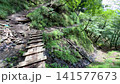 Summer scenery along the Kamosawa route from the Kosode trailhead in Yamanashi Prefecture to Mt. Kumotori, the highest peak in Tokyo: blue skies, spring water, and views of Mt. Fuji from the hiking trail. 141577673