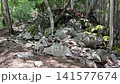 Summer scenery along the Kamosawa route from the Kosode trailhead in Yamanashi Prefecture to Mt. Kumotori, the highest peak in Tokyo: blue skies, spring water, and views of Mt. Fuji from the hiking trail. 141577674