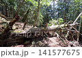Summer scenery along the Kamosawa route from the Kosode trailhead in Yamanashi Prefecture to Mt. Kumotori, the highest peak in Tokyo: blue skies, spring water, and views of Mt. Fuji from the hiking trail. 141577675