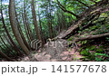 Summer scenery along the Kamosawa route from the Kosode trailhead in Yamanashi Prefecture to Mt. Kumotori, the highest peak in Tokyo: blue skies, spring water, and views of Mt. Fuji from the hiking trail. 141577678