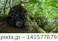 Summer scenery along the Kamosawa route from the Kosode trailhead in Yamanashi Prefecture to Mt. Kumotori, the highest peak in Tokyo: blue skies, spring water, and views of Mt. Fuji from the hiking trail. 141577679