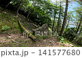 Summer scenery along the Kamosawa route from the Kosode trailhead in Yamanashi Prefecture to Mt. Kumotori, the highest peak in Tokyo: blue skies, spring water, and views of Mt. Fuji from the hiking trail. 141577680