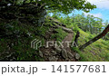 Summer scenery along the Kamosawa route from the Kosode trailhead in Yamanashi Prefecture to Mt. Kumotori, the highest peak in Tokyo: blue skies, spring water, and views of Mt. Fuji from the hiking trail. 141577681