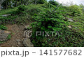 Summer scenery along the Kamosawa route from the Kosode trailhead in Yamanashi Prefecture to Mt. Kumotori, the highest peak in Tokyo: blue skies, spring water, and views of Mt. Fuji from the hiking trail. 141577682