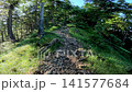 Summer scenery along the Kamosawa route from the Kosode trailhead in Yamanashi Prefecture to Mt. Kumotori, the highest peak in Tokyo: blue skies, spring water, and views of Mt. Fuji from the hiking trail. 141577684