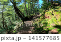 Summer scenery along the Kamosawa route from the Kosode trailhead in Yamanashi Prefecture to Mt. Kumotori, the highest peak in Tokyo: blue skies, spring water, and views of Mt. Fuji from the hiking trail. 141577685
