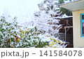 4x slow motion video of a cloudy winter day with white snow falling against the background of dark walls, roofs and crowns of pines and other trees. Winter time in nature 141584078