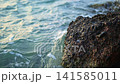 Gentle Ocean Waves Lapping Rocky Shoreline 141585011