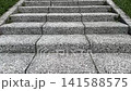 Stone steps in the park 141588575