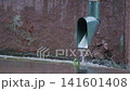 A drainpipe during a rainstorm. A large flow of water from a drainpipe on a rainy day 141601408