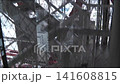 Descending from Sapporo TV Tower in Odori Park via elevator. 141608815