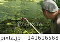 Male worker with a net on a long stick cleaning a small pond from green duckweed, pushing the aquatic plants to the side to clear the water surface on a sunny day in the park or garden. 141616568