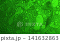 Microscopic green oil bubbles floating and merging in a liquid substance, creating an abstract background 141632863