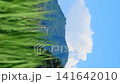 Cumulonimbus clouds floating above summer rice paddies and a blue sky - Vertical video of agricultural scenery 141642010