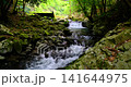 静岡県伊豆市にある滑沢渓谷の清流 141644975