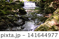 静岡県伊豆市にある滑沢渓谷の清流　 141644977