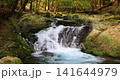 静岡県伊豆市にある滑沢渓谷の清流 141644979