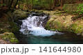 静岡県伊豆市にある滑沢渓谷の清流 141644980
