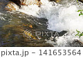 Real time video of a powerful turbulent stream of a mountain river with sound, where the current breaks off the rapids and splashes and white bubbles and foam are formed. Beautiful natural spaces 141653564