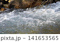 Real-time video with sound where the flow of a small mountain river flows from left to right with air bubbles. Tree branches hanging on the surface without leaves, 60 fps 141653565