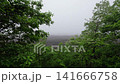 A lava flow spreads out beyond the open area. 141666758