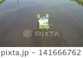 Rice planting proceeds under clear skies. 141666762