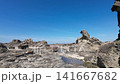 Godzilla Rock of the Oga Peninsula 141667682