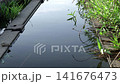 夏日傍晚，稻田旁一條水流充沛的小溪。 141676473